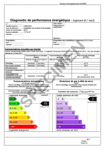 Diagnostic de Performance Énergétique (DPE)